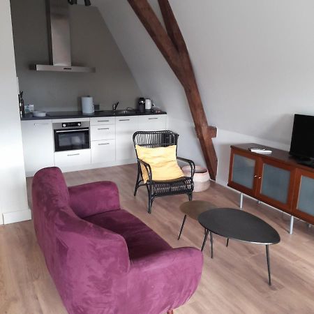 Historic Renovated Apartment With Balcony And Garden View Gouda Extérieur photo